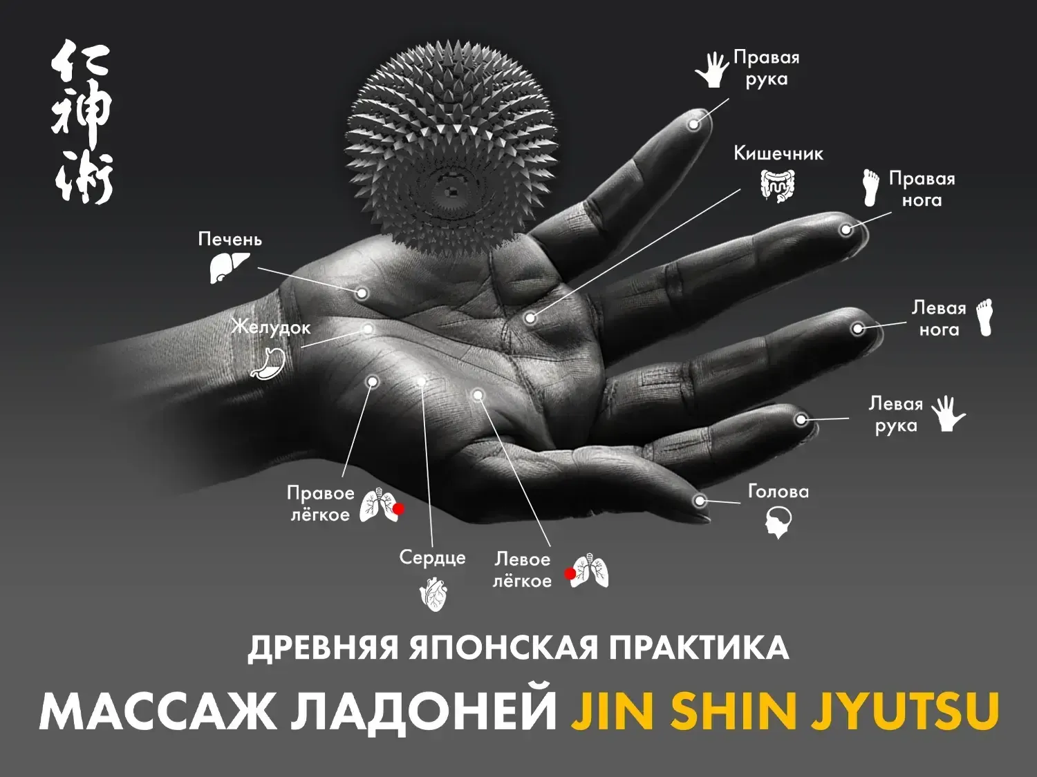 Массажное кресло FUJIMO GURU2 F800 Коричневый