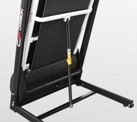 CARBON FITNESS T550