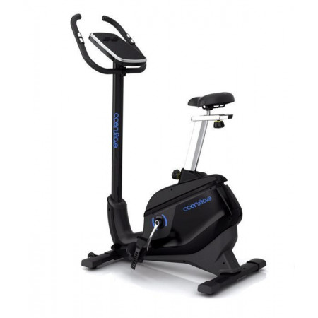 EVO FITNESS Bronze