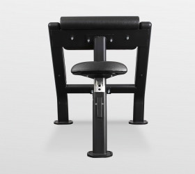 Скамья Скотта Bronze Gym BR-1007