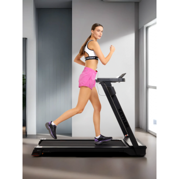Беговая дорожка Kettler Track R2