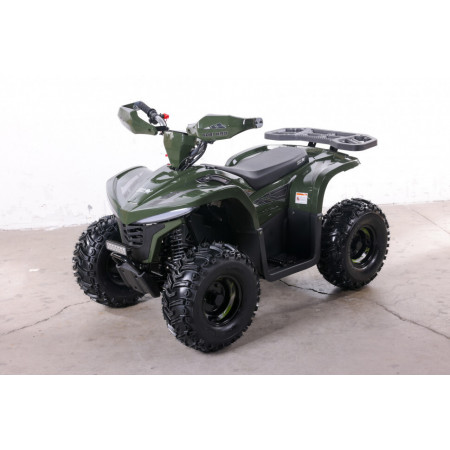 Квадроцикл GreenCamel Гоби K90 (48V 750W R7 Дифф) LUX Bluetooth