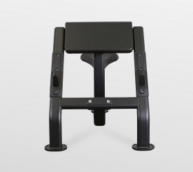 Скамья Скотта Bronze Gym BR-1007