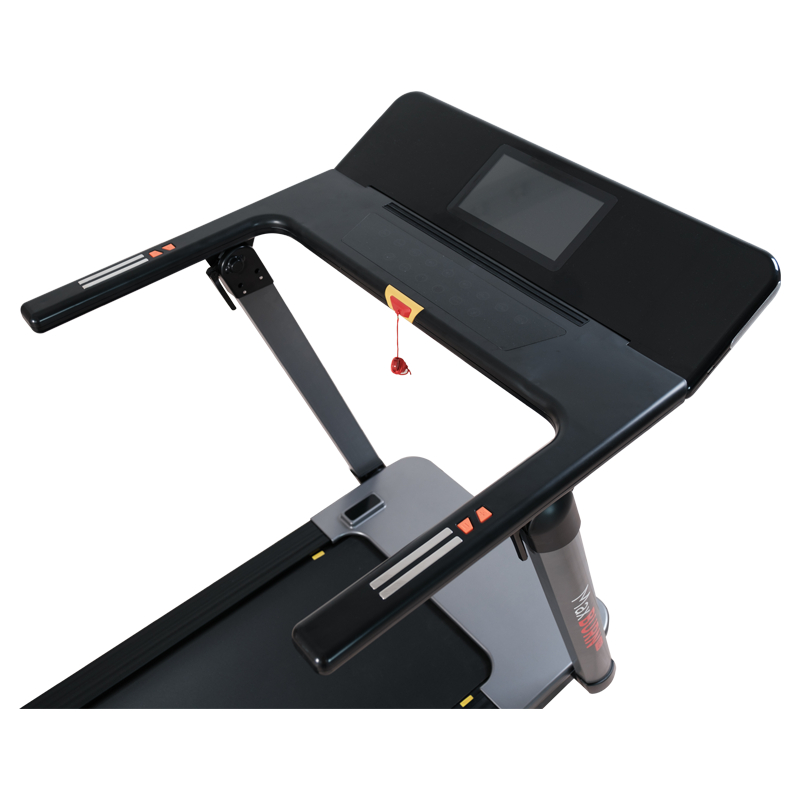 Беговая дорожка Ergonova MaxBurn Pro